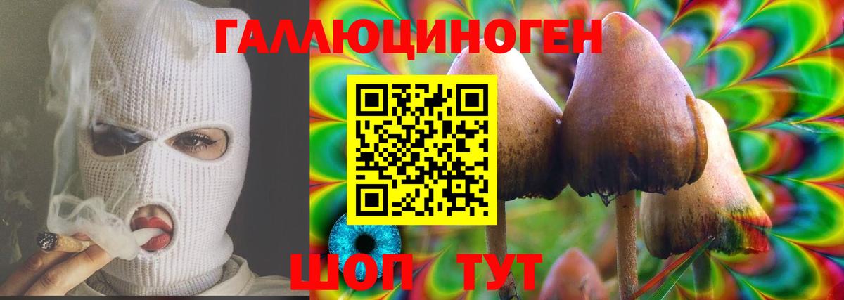 Тихвин  Галлюциногенные грибы Cubensis  Вход с VPN 